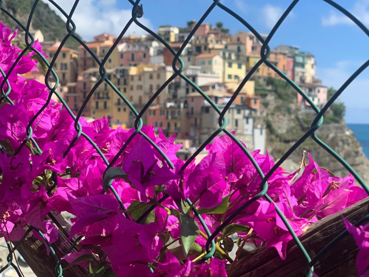 Affittacamere San Giorgio Manarola Exteriér fotografie